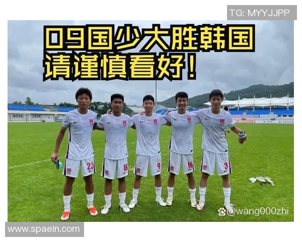 探索NPB足球的崛起与发展对中国足球的启示与影响